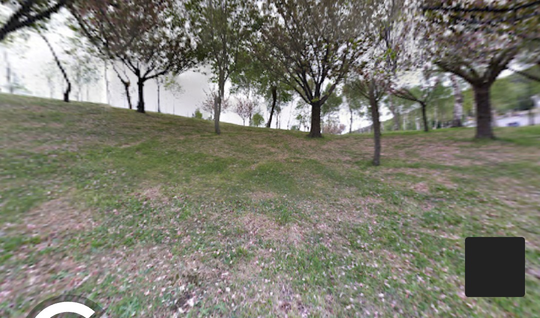 Campo aperto junto al restaurante Leon - Bilbao